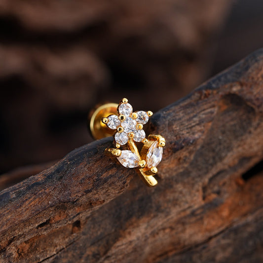 Enchanted Shine