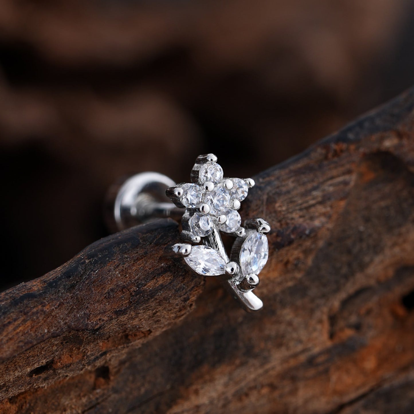Enchanted Shine